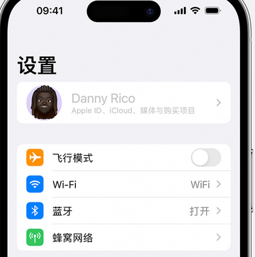 东河镇appleID维修服务iPhone设置中Apple ID显示为灰色无法使用