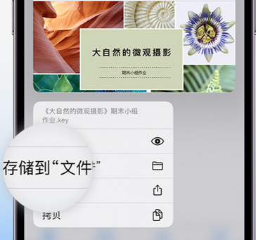 东河镇apple维修中心分享iPhone文件应用中存储和找到下载文件