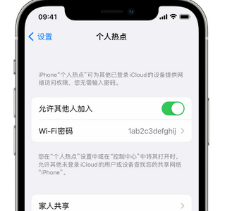 东河镇apple服务站点分享iPhone上个人热点丢失了怎么办 