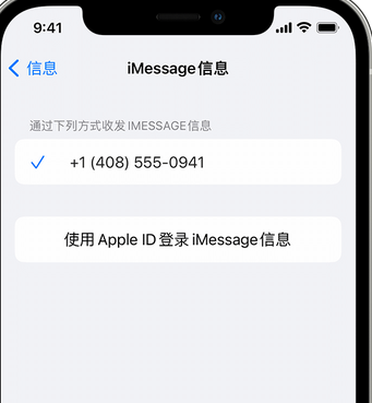 东河镇apple维修iPhone上无法正常发送iMessage信息 