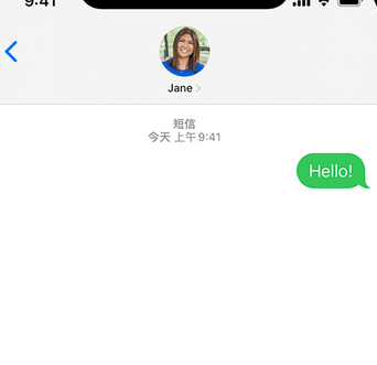 东河镇apple维修iPhone上无法正常发送iMessage信息