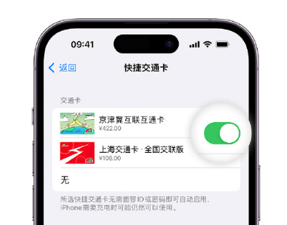 东河镇apple维修点分享iPhone上更换Apple Pay快捷交通卡手绘卡面 