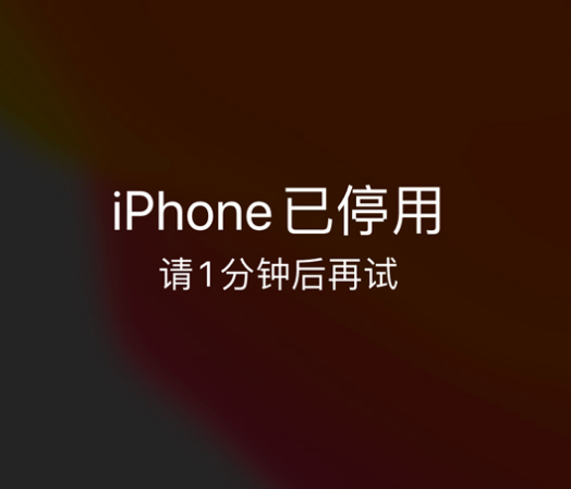 东河镇苹果手机维修分享:iPhone 显示“不可用”或“已停用”怎么办？还能保留数据吗？ 