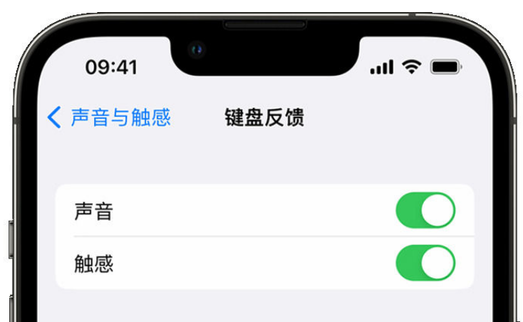 东河镇苹果手机维修分享iPhone 14触感键盘使用方法 