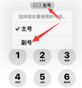 东河镇苹果14维修店分享iPhone 14 Pro Max使用副卡打电话的方法 