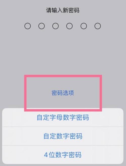 东河镇苹果14维修分享iPhone 14plus设置密码的方法 