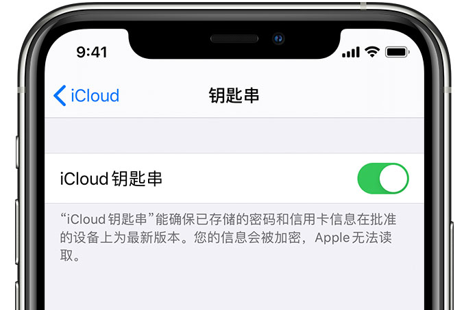 东河镇苹果手机维修分享在 iPhone 上开启 iCloud 钥匙串之后会储存哪些信息 