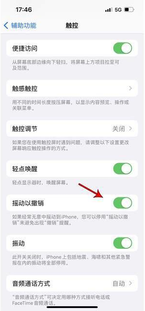 东河镇苹果手机维修分享iPhone手机如何设置摇一摇删除文字 